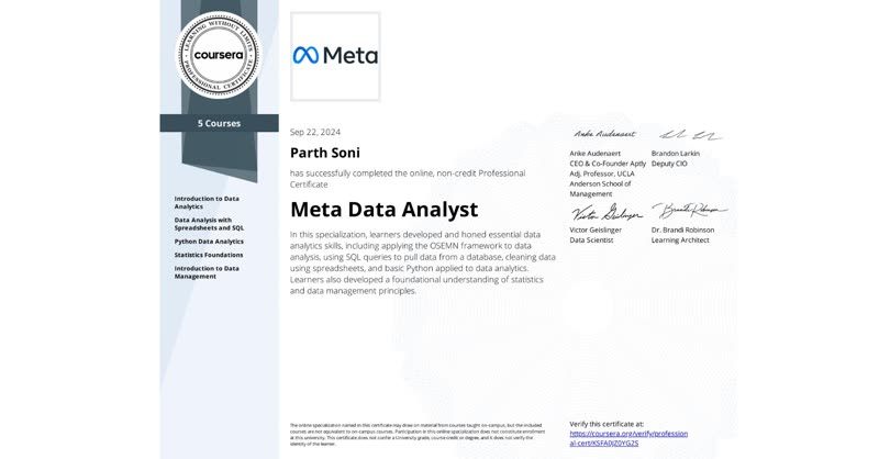 Meta Data Analyst Certificate